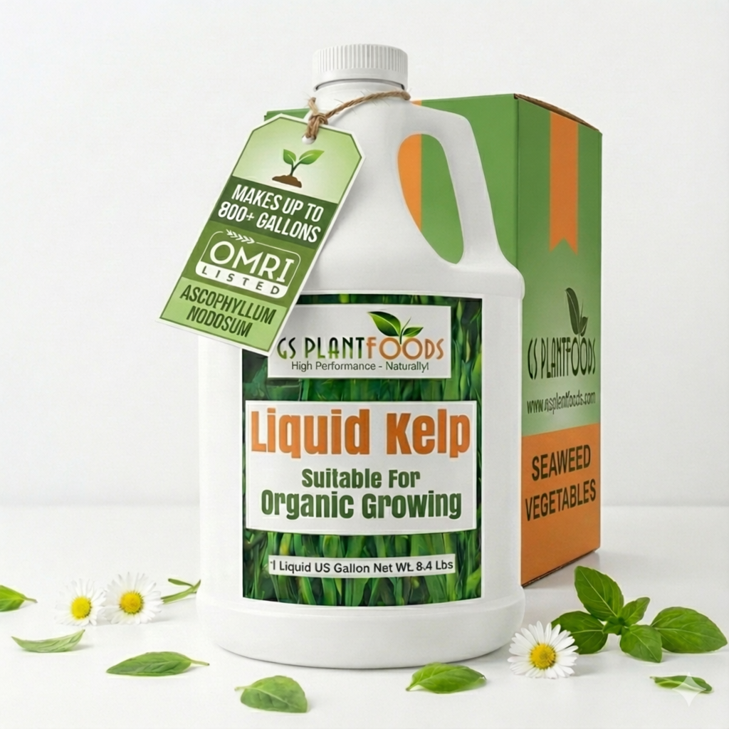 Organic Liquid Kelp