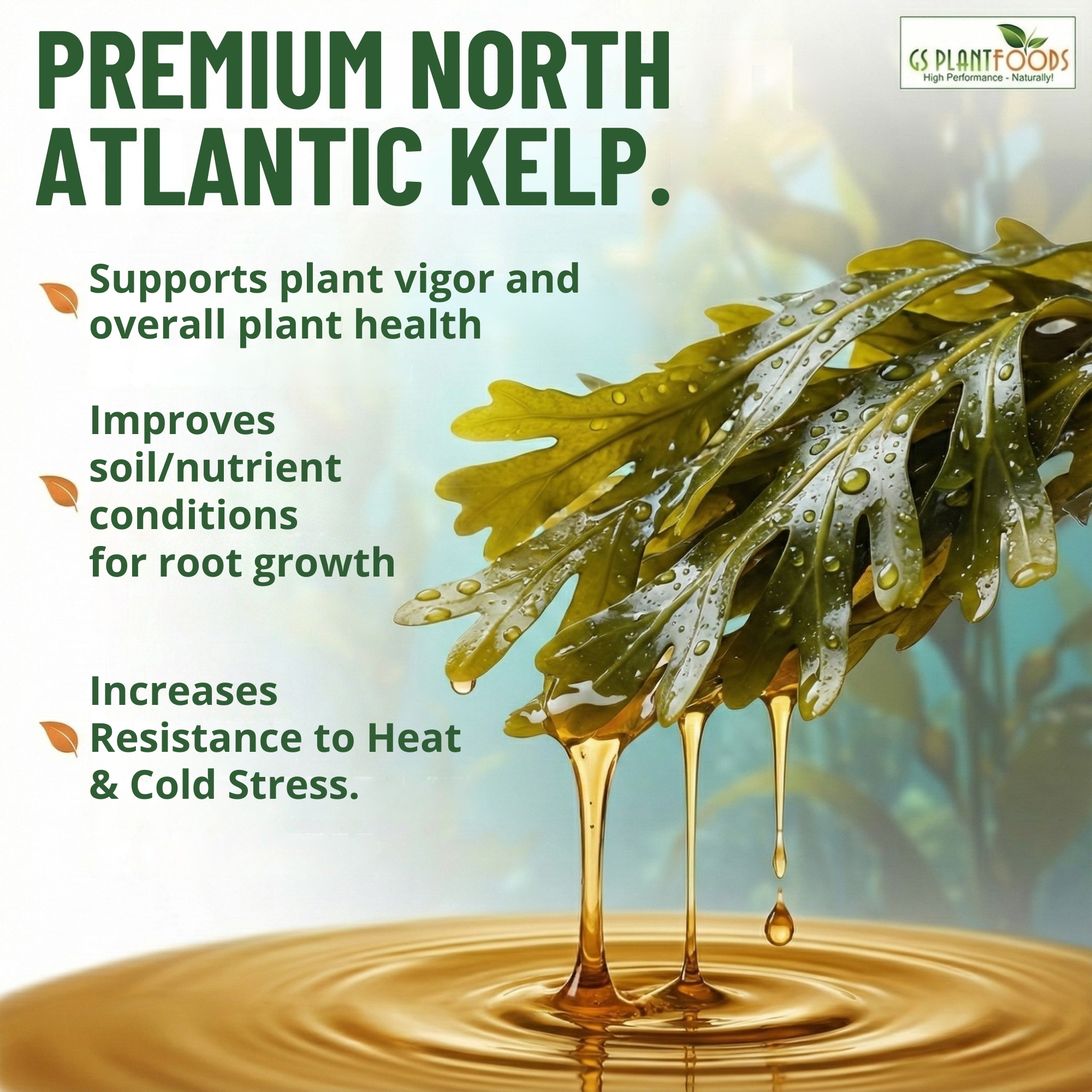 Organic Liquid Kelp