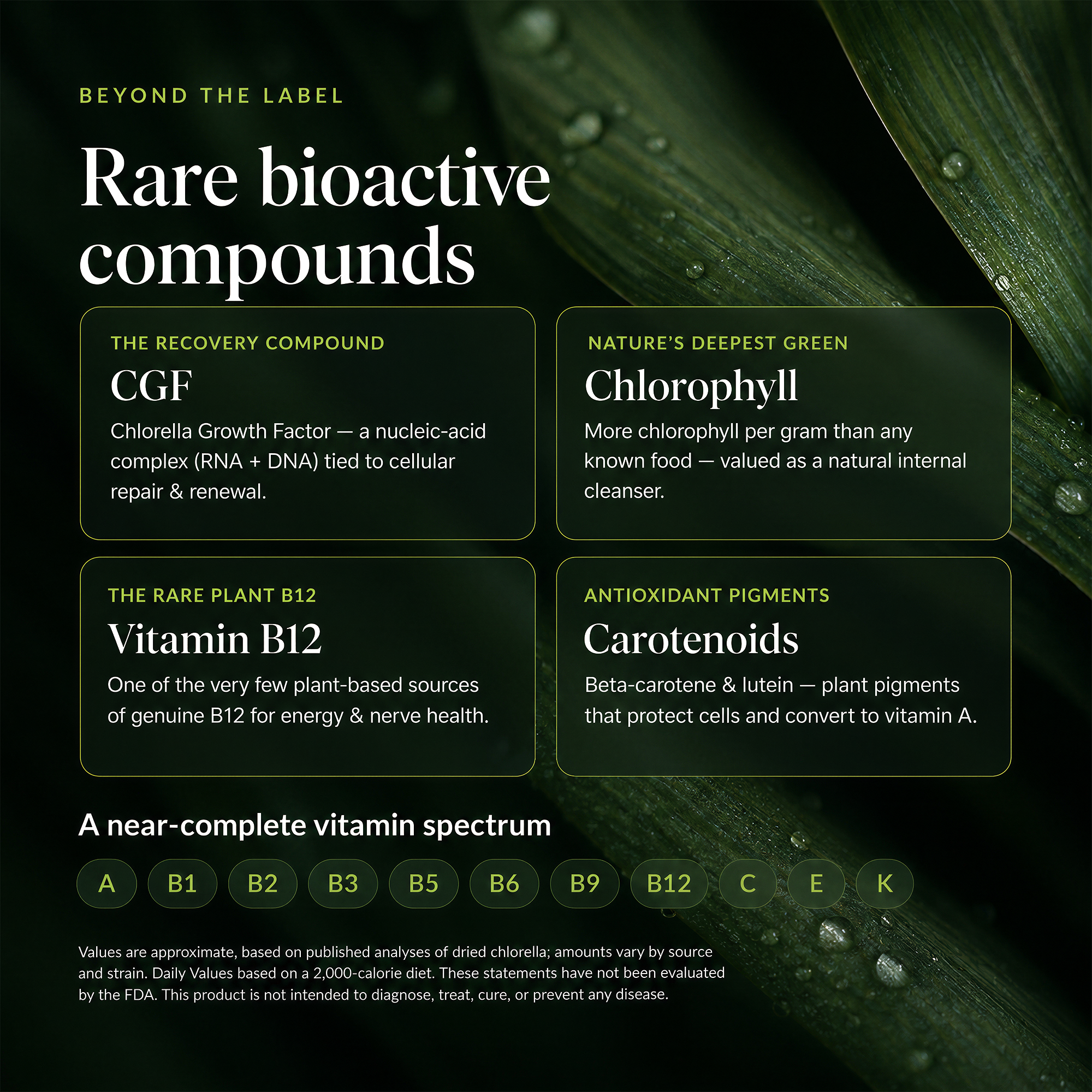 RECOVERYbits® Chlorella | Large Bag