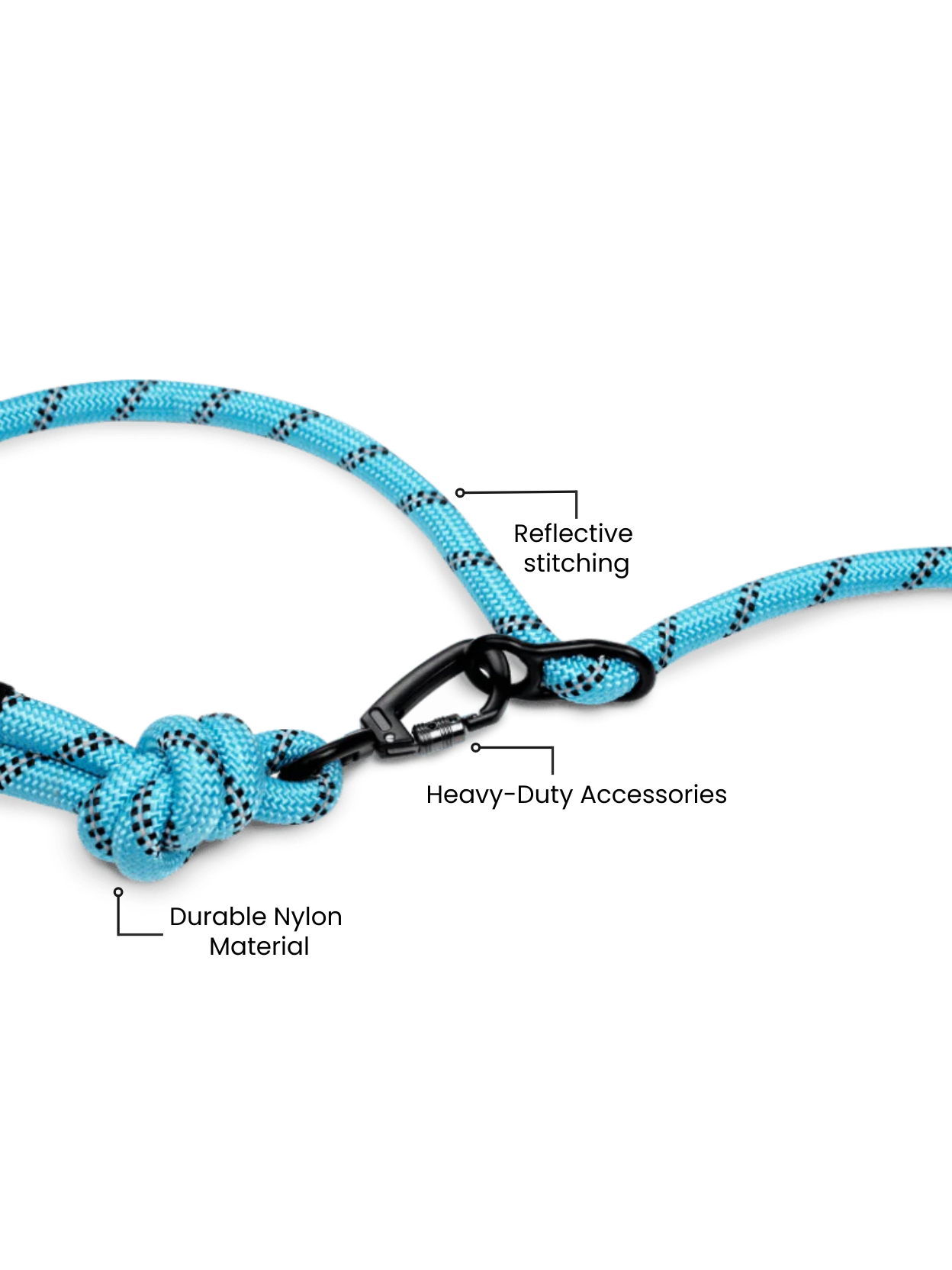 Aqua blue hands-free running dog leash with reflective detailing