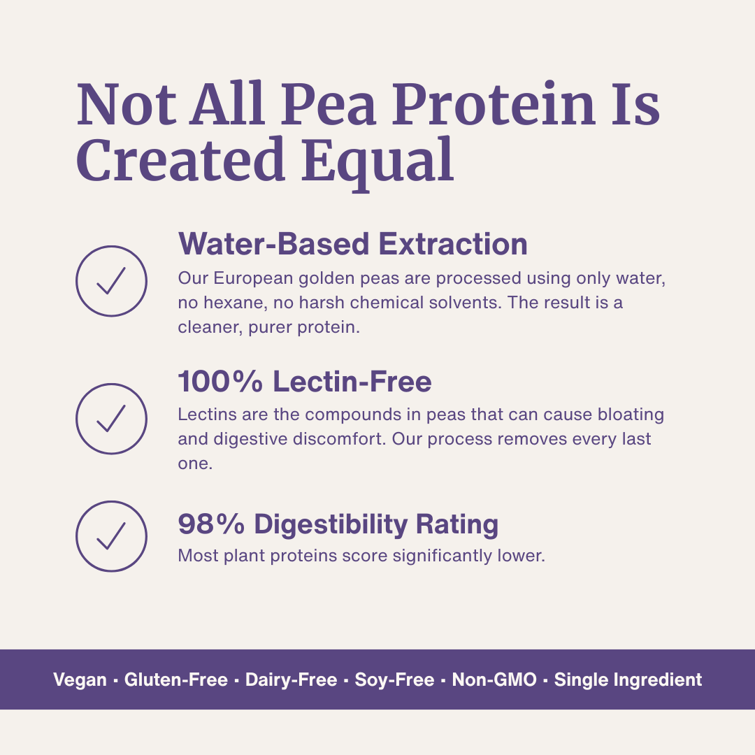 Bethany's Protein Bake product information graphic in purple and cream, highlighting water-based extraction, lectin-free purity, and 98% digestibility