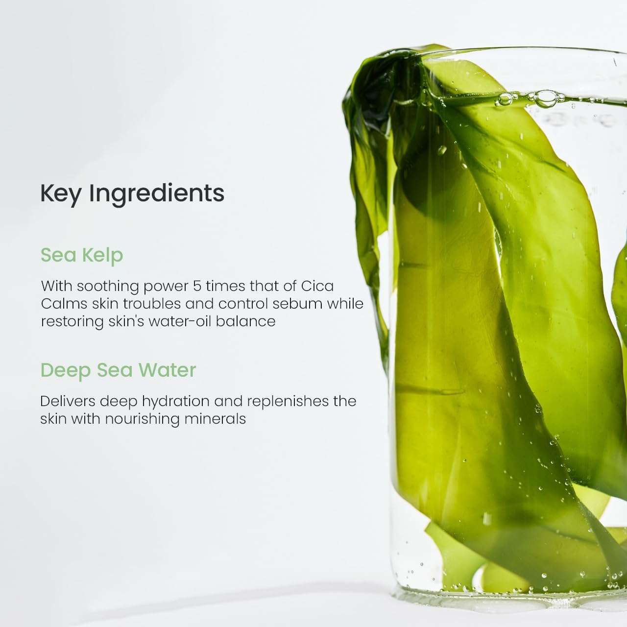 Biodance deep hydrating facial mask featuring green sea kelp and deep sea water ingredients for soothing hydration