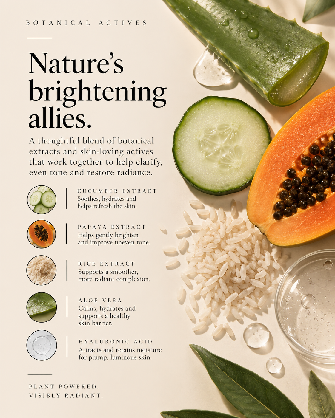 Botanical Day Serum label with botanical actives, featuring cucumber, papaya, rice, aloe vera and hyaluronic acid illustrations