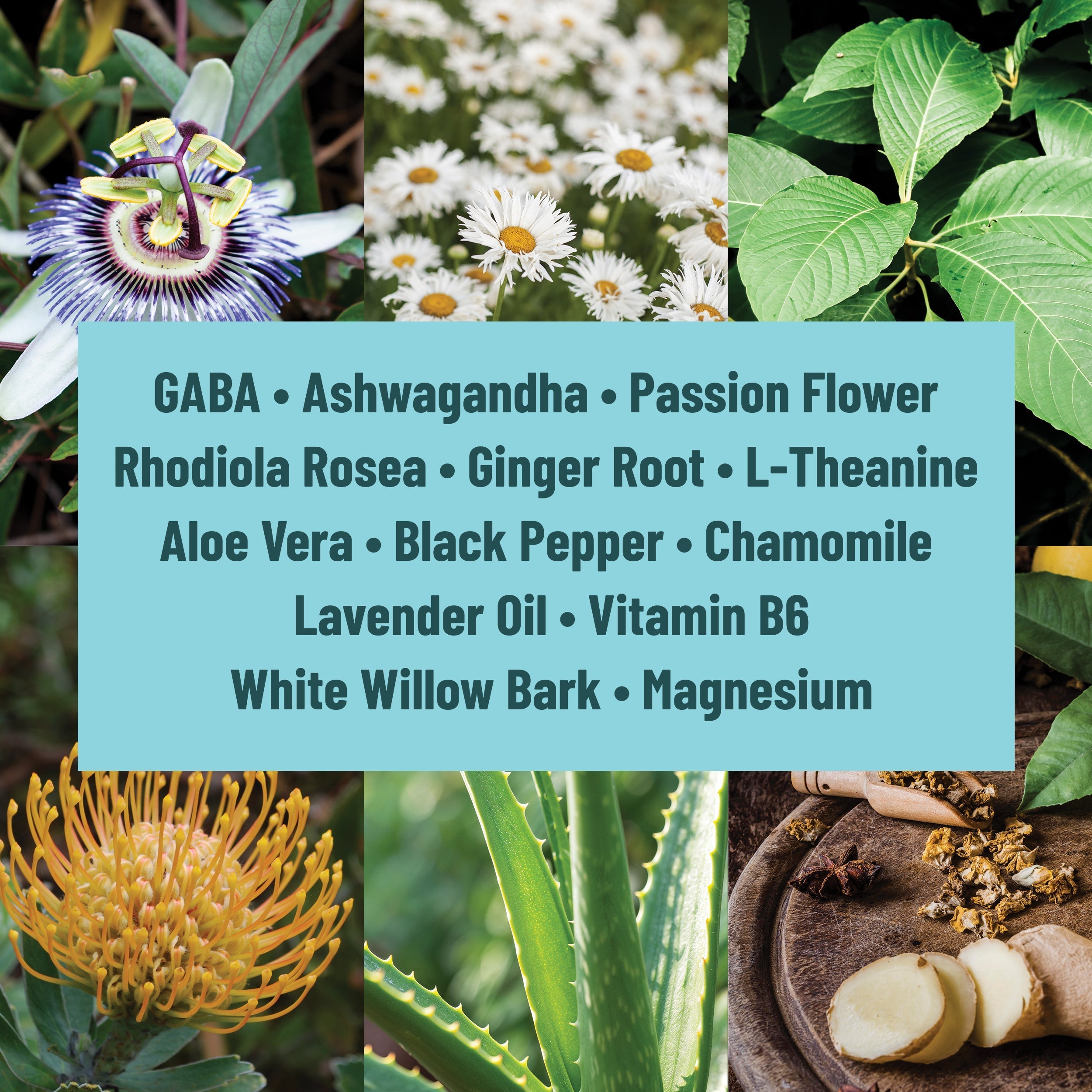 Calm patches for stress relief with natural herbal ingredients