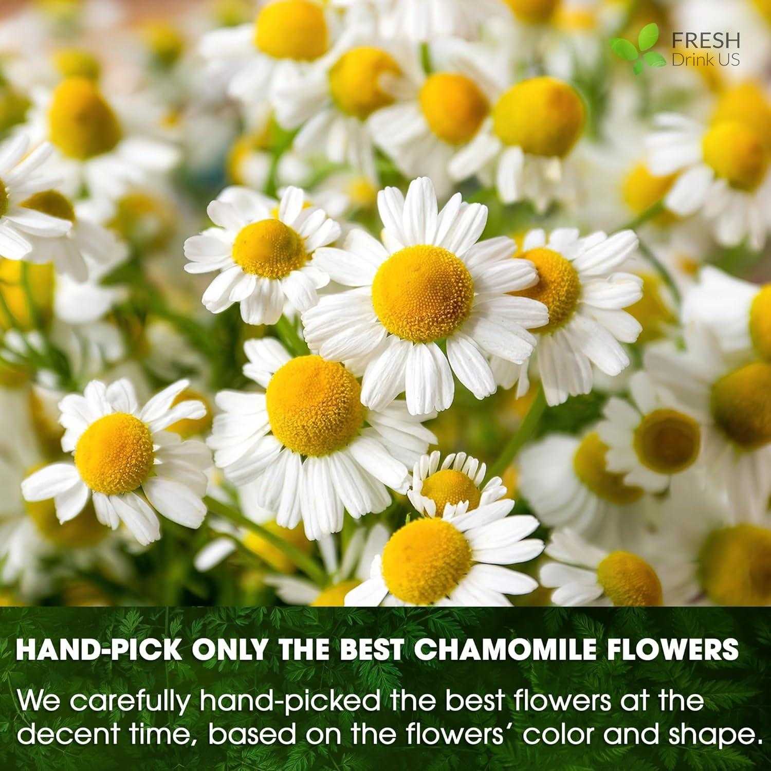 Chamomile Tea Bags showcasing fresh hand-picked white and yellow chamomile flowers with delicate petals and yellow centers
