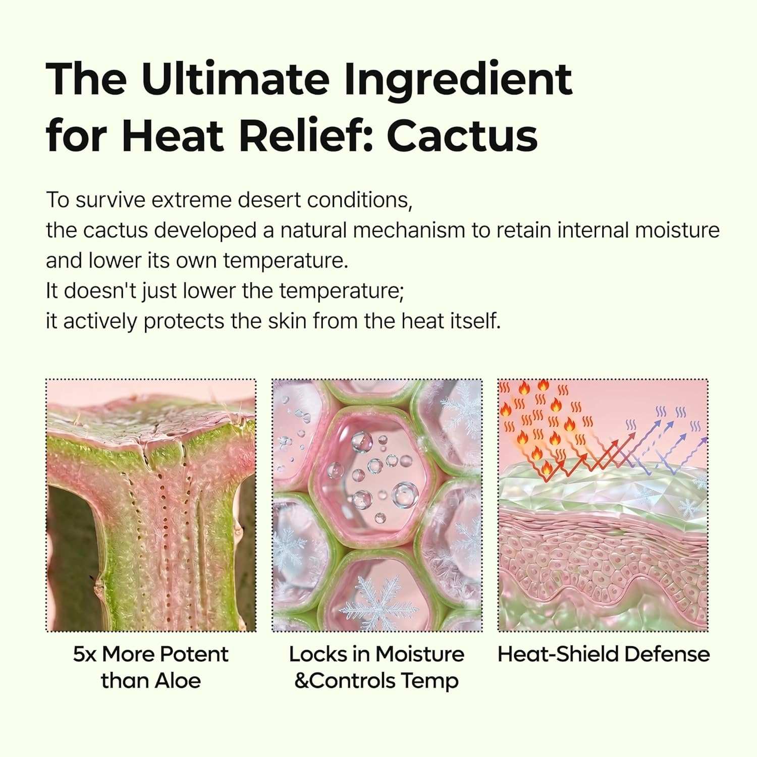 Dr. Melaxin CACTOX Pore Relief multi balm in a green and beige tube with cactus and moisture control graphics on the packaging