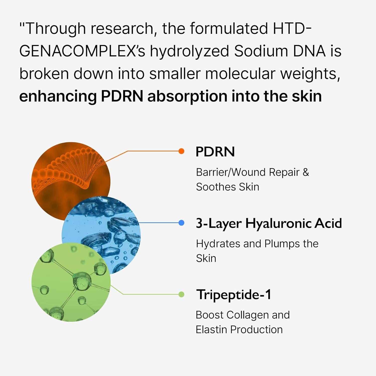 Infographic showing the benefits of Genabelle PDRN Vita Toning Ampoule ingredients including PDRN, 3-Layer Hyaluronic Acid, and Tripeptide-1 for skin repair and hydration.