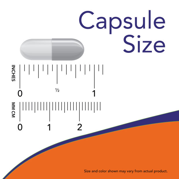 Ginger Root Extract capsule size guide showing a grey capsule measuring about one inch or 2.5 centimetres