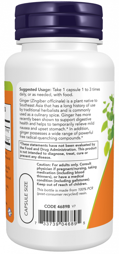 Ginger Root Extract supplement in a white bottle with a dark purple cap, orange and green label, and 250 mg capsules
