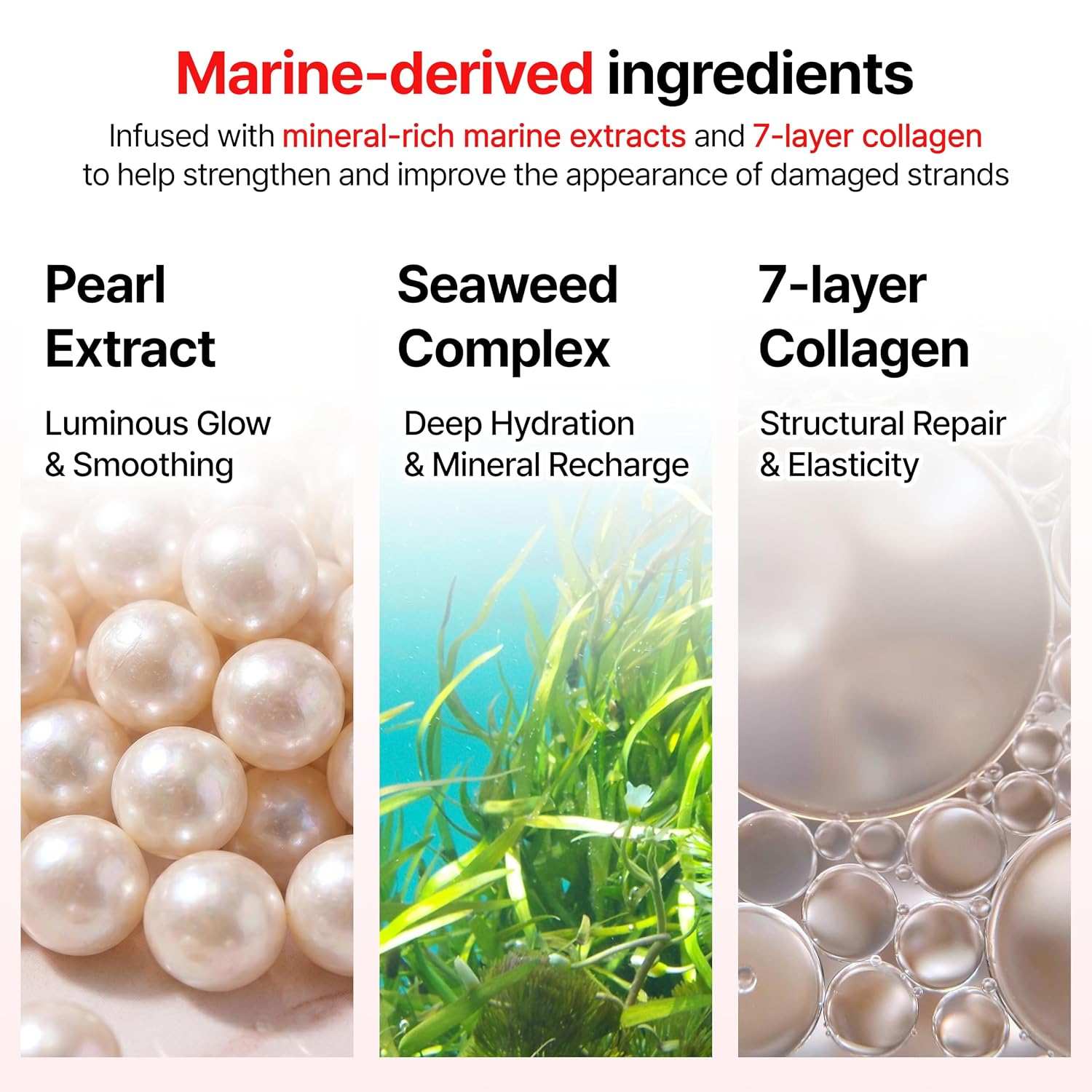 Growus Damage Therapy marine-derived ingredients infographic showing pearl extract, seaweed complex, and 7-layer collagen for hair repair