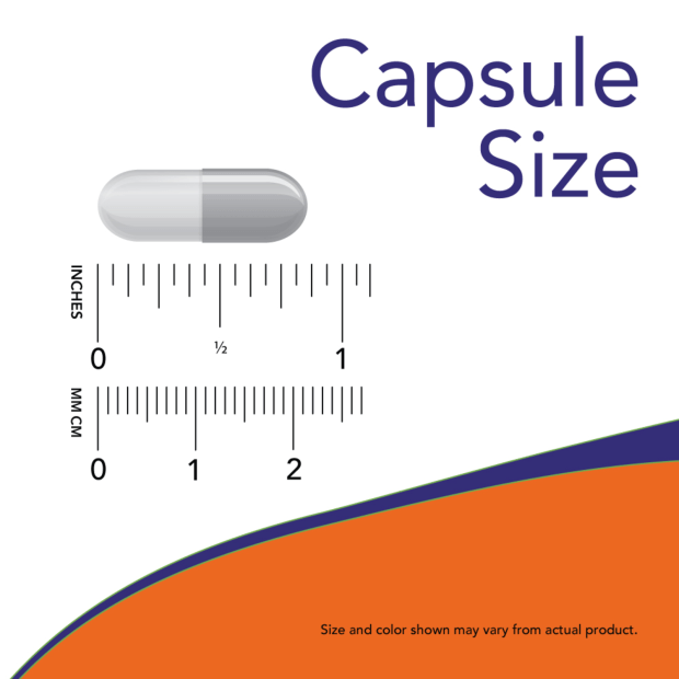 herbal urinary support capsule size guide showing a grey two-piece capsule with inch and millimetre rulers