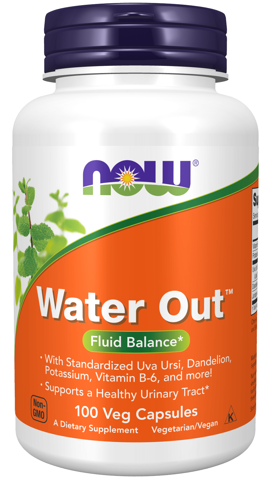 Herbal urinary support supplement in a white bottle with an orange and green Water Out label, purple cap, and 100 veggie capsules