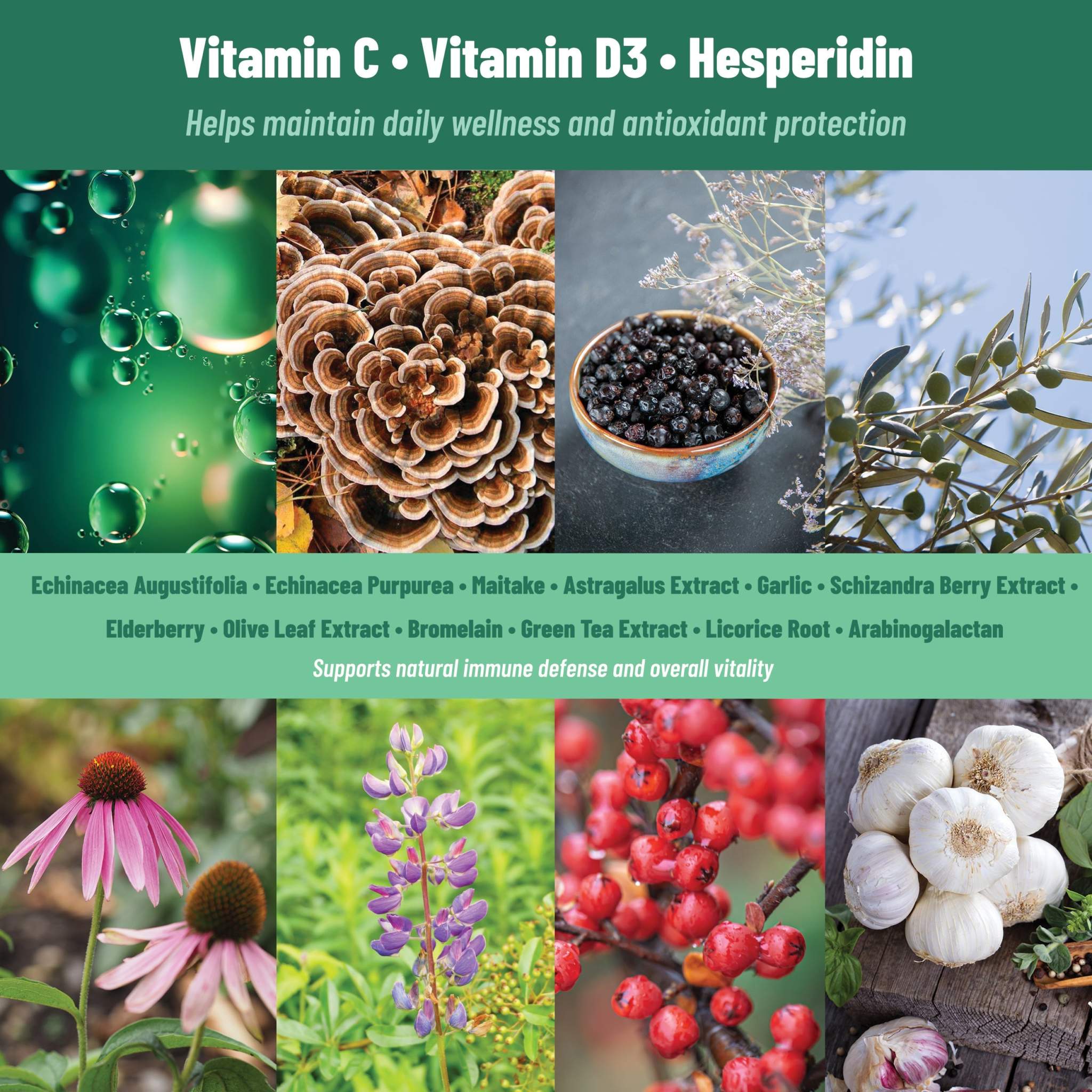 ImmuShield Patches Daily Wellness with botanical extracts, vitamins C and D3, zinc, and berry imagery 
