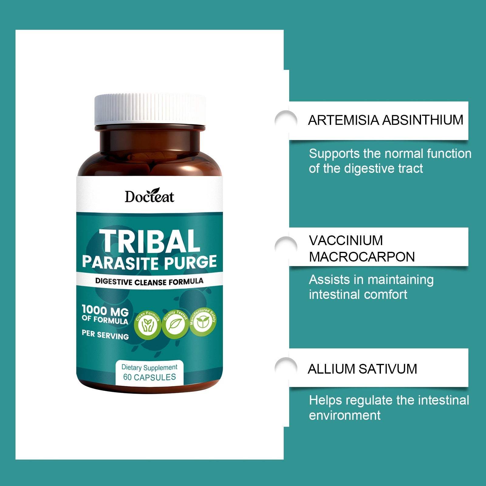 Intestinal Health Support capsule bottle with natural ingredient labels