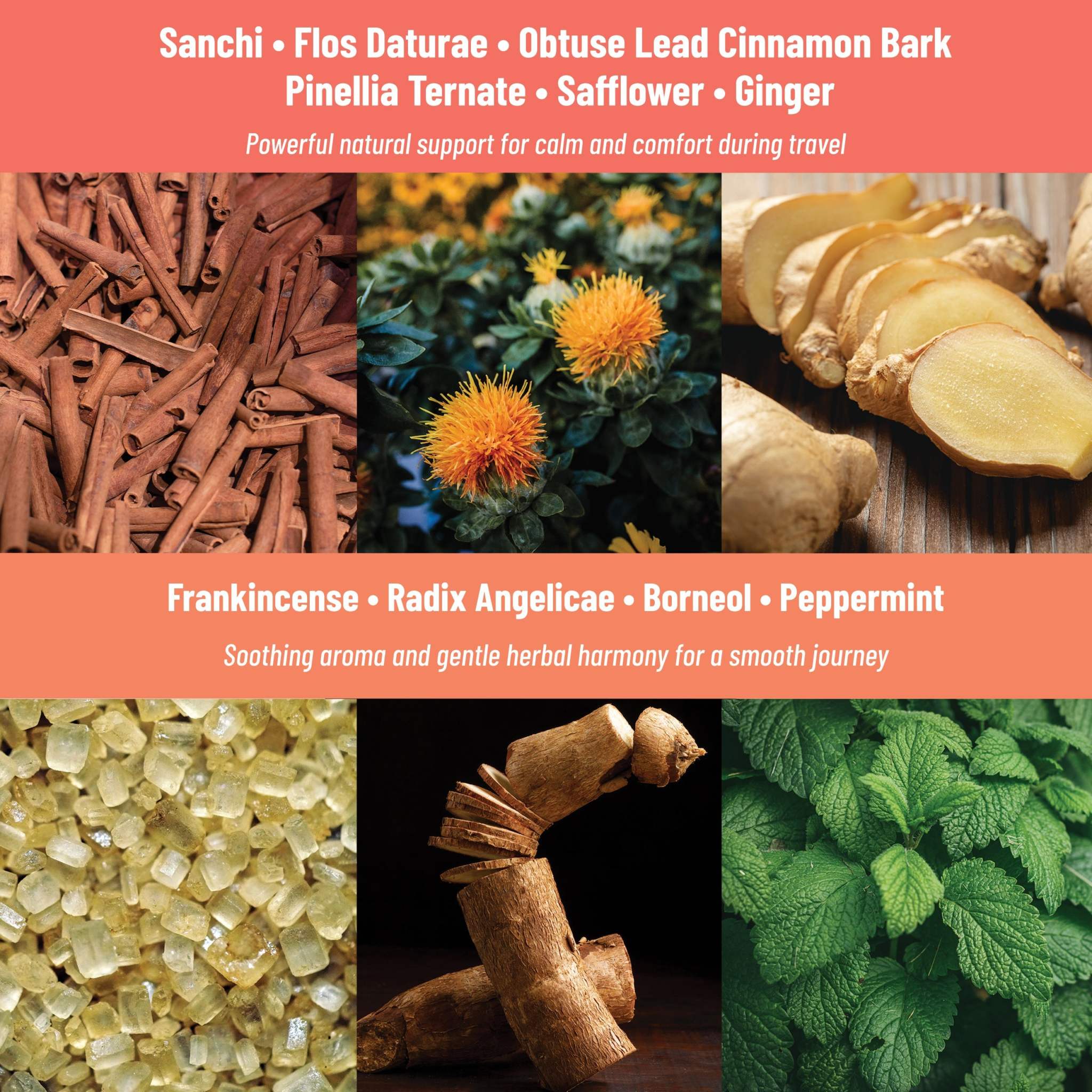 Collage of natural ingredients including cinnamon bark, safflower flower, ginger root slices, frankincense resin, radix angelicae root, and peppermint leaves used in Motion Sickness Patches.