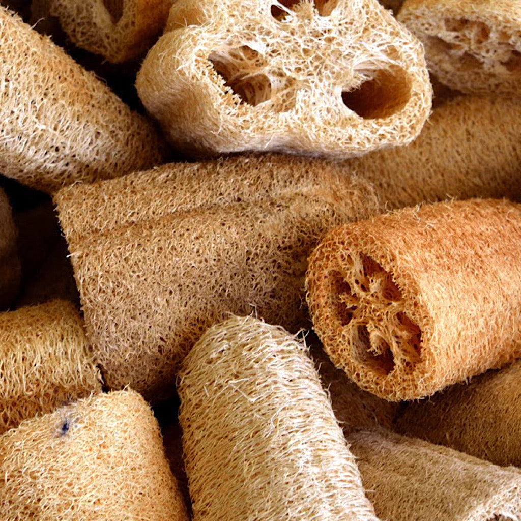 Natural Loofah Sponge in beige natural plant fiber, with a coarse open-weave texture and varied cut shapes