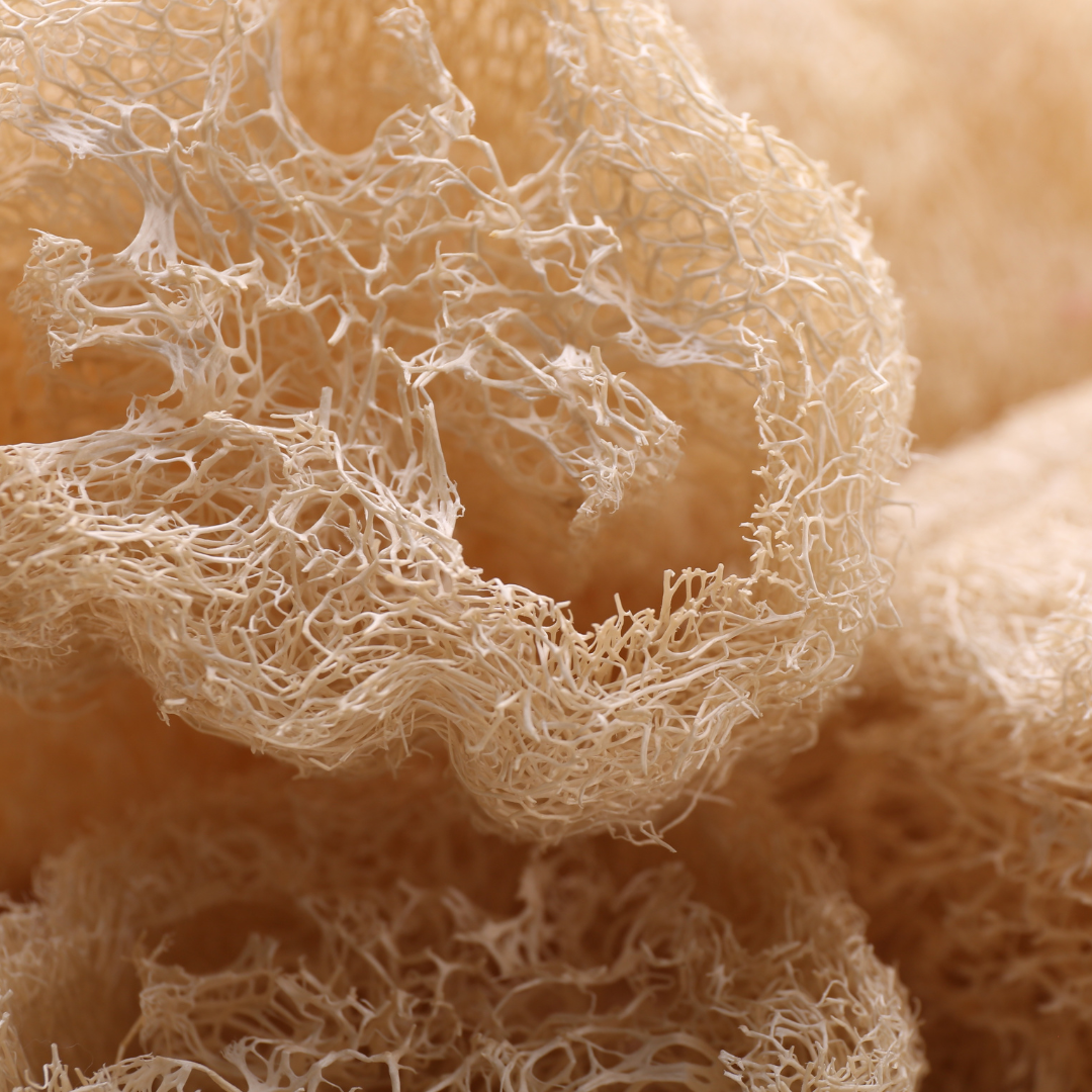Natural Loofah Sponge with pale beige plant fibers and an open, tangled mesh texture for natural exfoliation