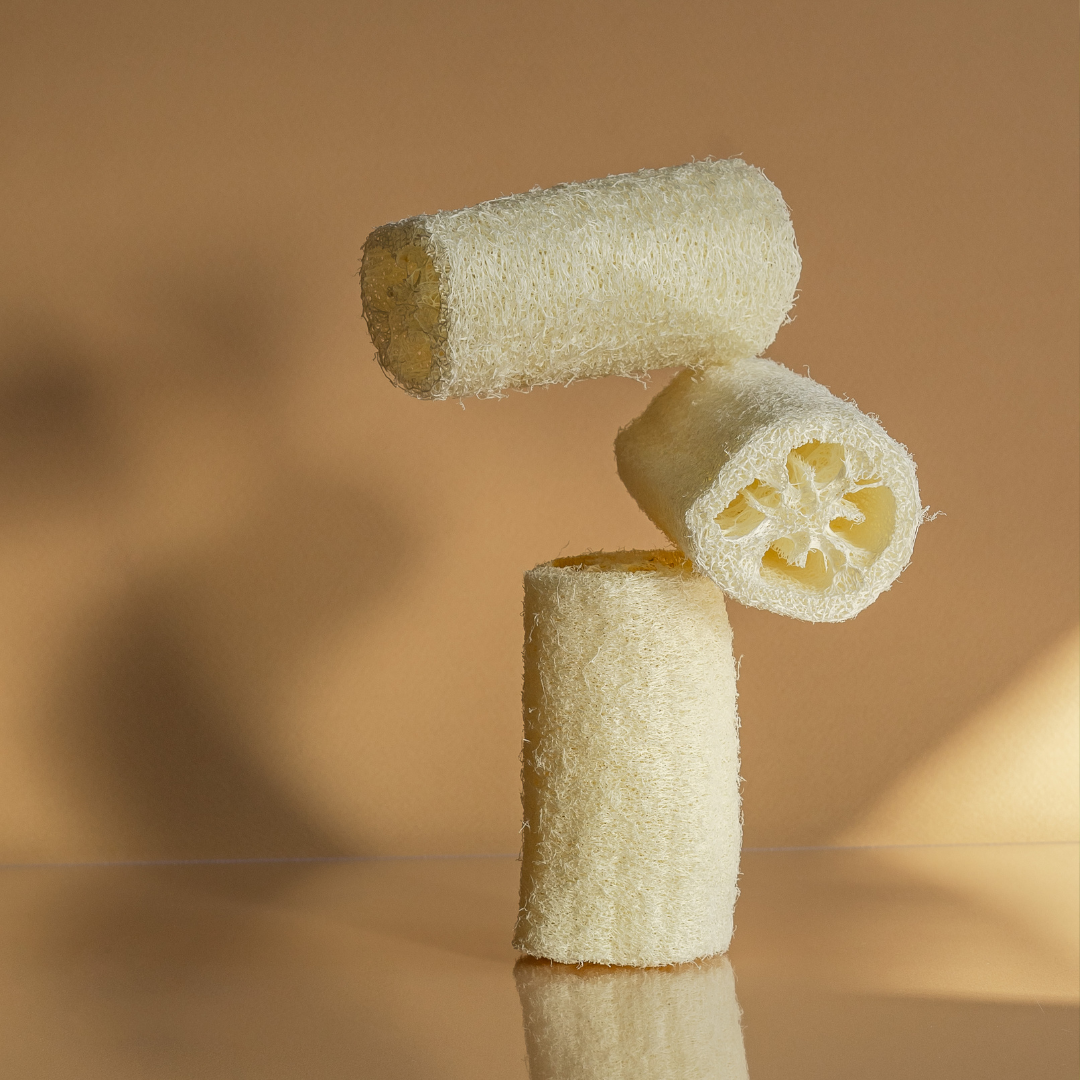 Natural Loofah Sponge set of three cream-colored, fibrous plant loofah pieces, including two cut cylinders