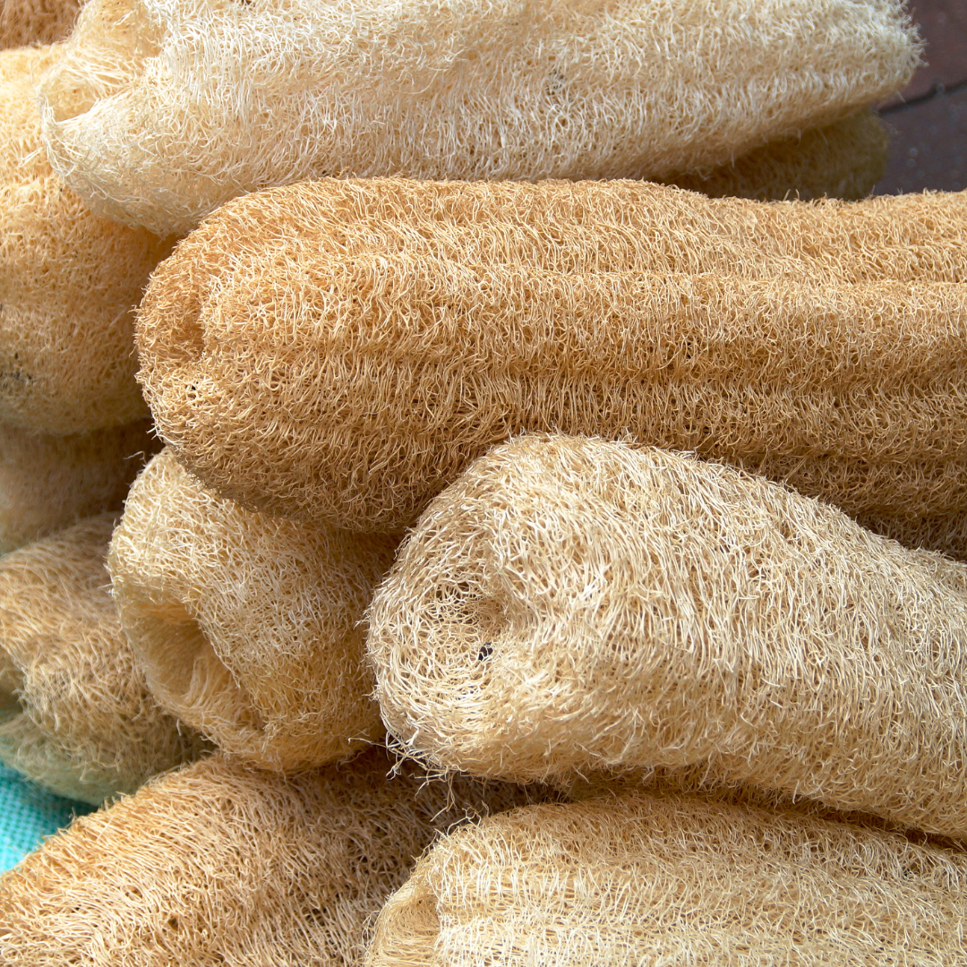 Natural Loofah Sponge with a tan, coarse plant-fiber texture, shown as several rolled, hollow loofah sections