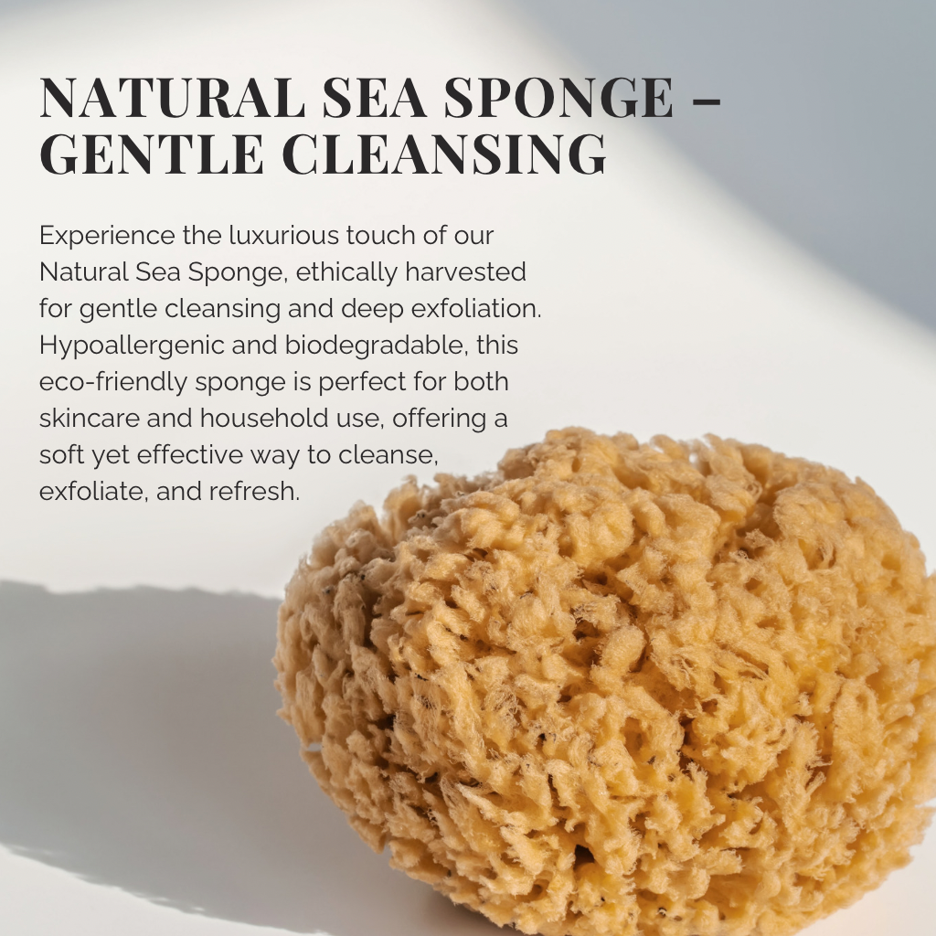 Natural Sea Sponge with a golden tan colour, coarse porous natural fibers, and an irregular rounded shape