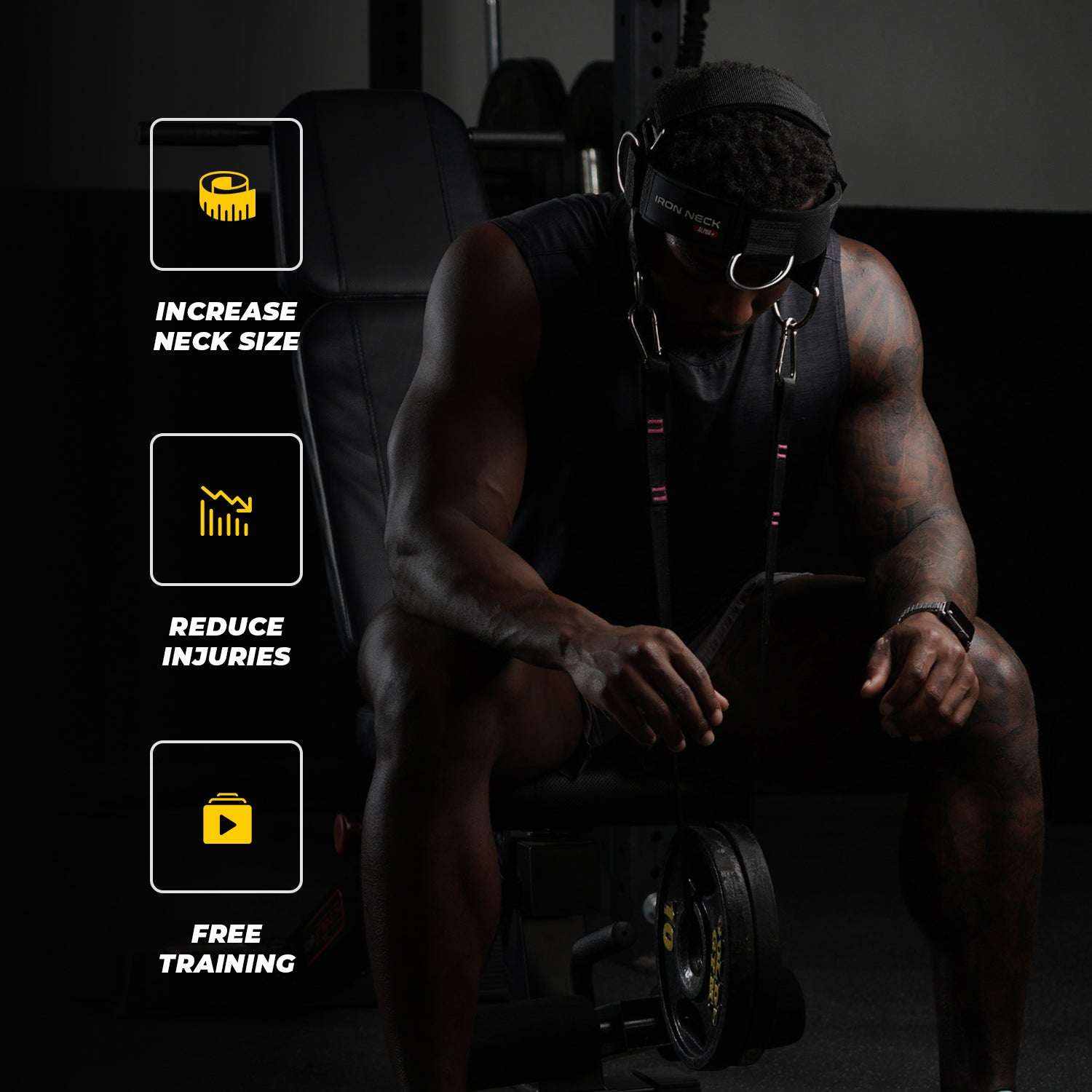 Alpha Harness Plus neck training harness with clips and nylon tether