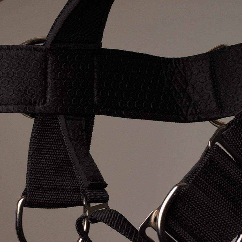 Alpha Neck Training Harness Plus with clips and durable materials