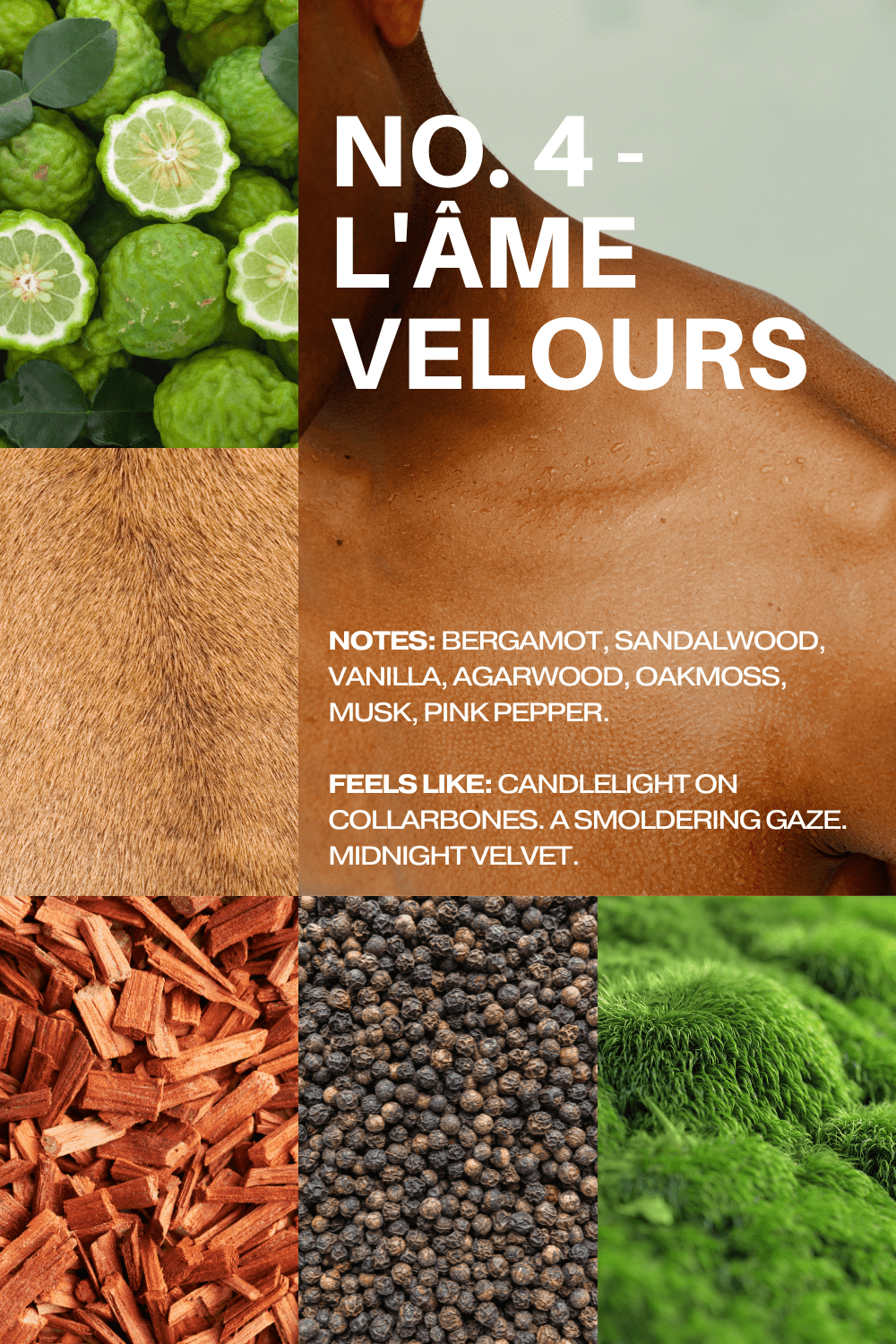 No. 4 - L'Âme Velours Roll On Perfume Oil, warm brown-toned fragrance with botanical ingredient collage and notes text