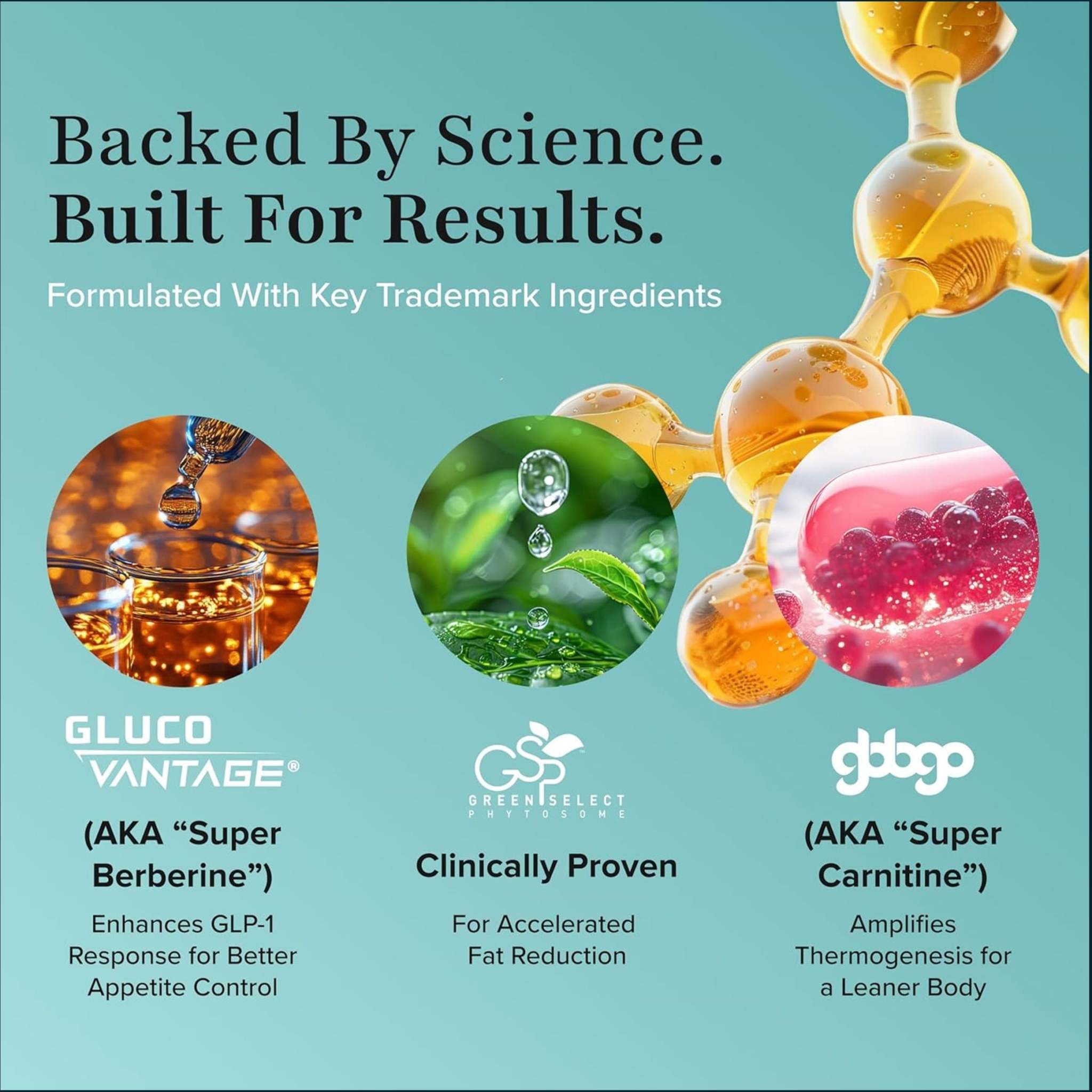 Nutrex GLP-1+ Control supplement packaging, teal graphic with amber molecular illustration and three ingredient feature circles.
