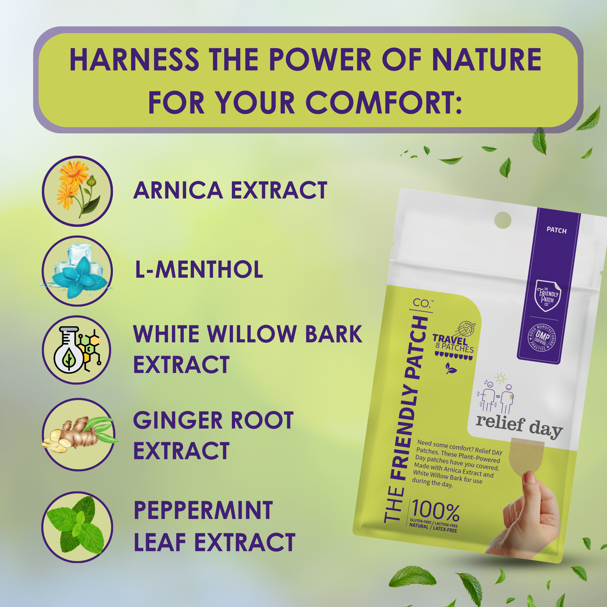 Relief Day Pain Patches package featuring a green and purple design with plant-powered ingredient illustrations
