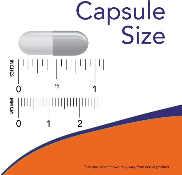 Rhodiola 500mg Ext. capsule shown in translucent grey, with a capsule size ruler marked in inches and millimetres