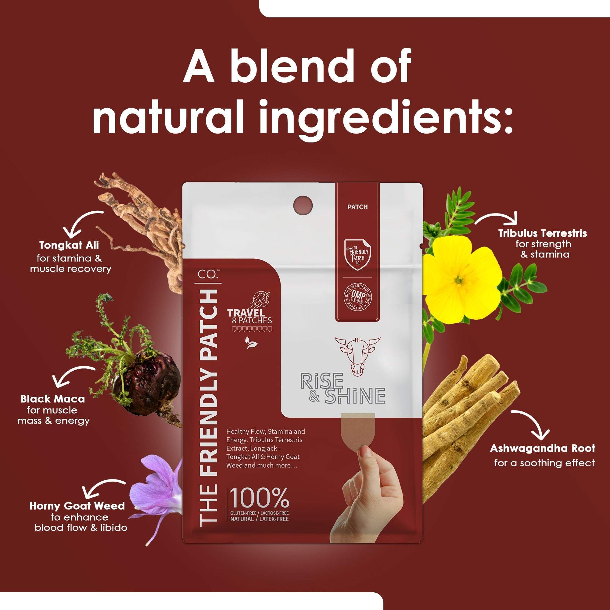 Rise & Shine Patches pack with white and brown resealable pouch featuring plant ingredient illustrations and branding text.