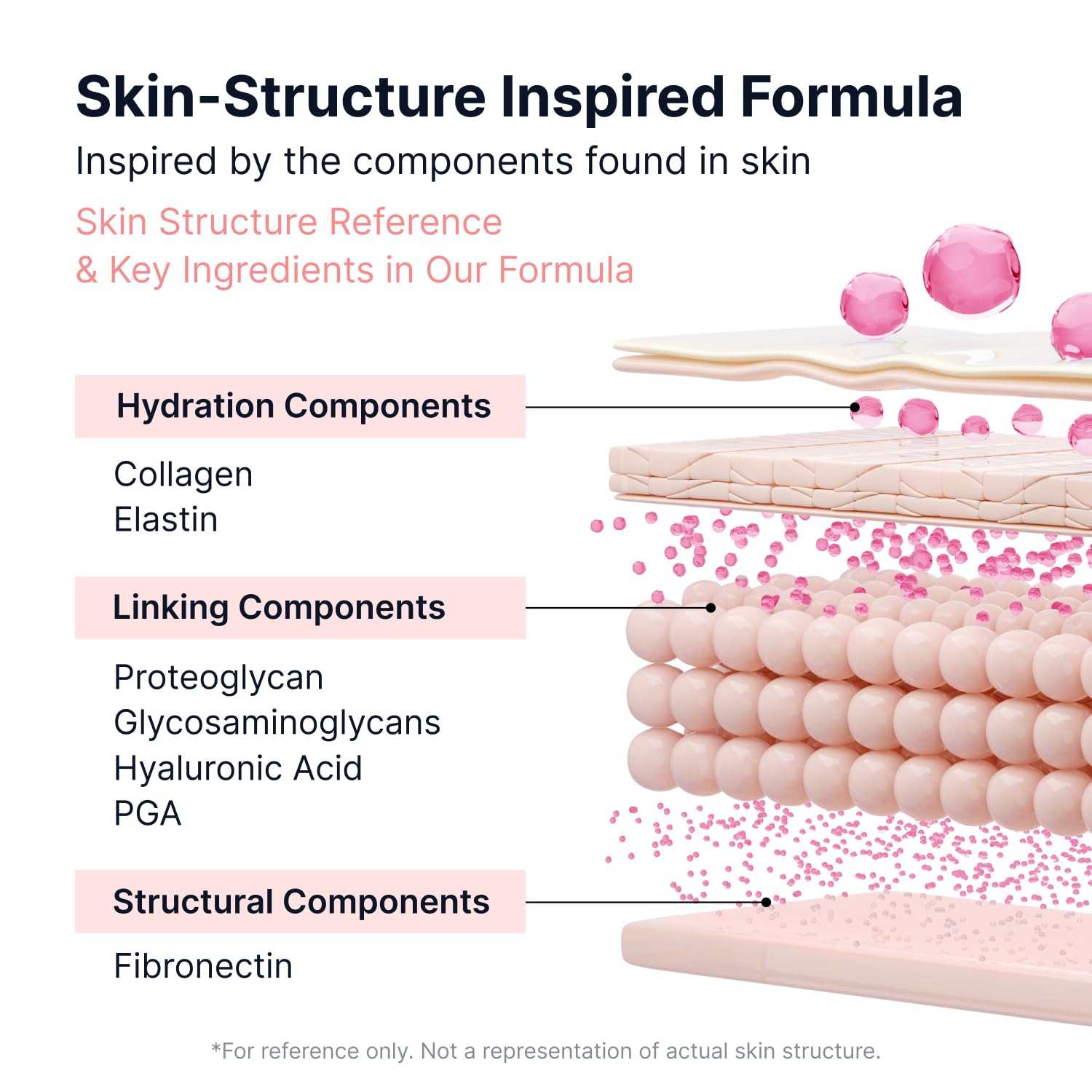 diagram illustrating skin-structure inspired formula with hydration components collagen elastin linking components proteoglycan glycosaminoglycans hyaluronic acid PGA and structural components fibronectin highlighting key ingredients in Sungboon Pink Vitamin Glow formula